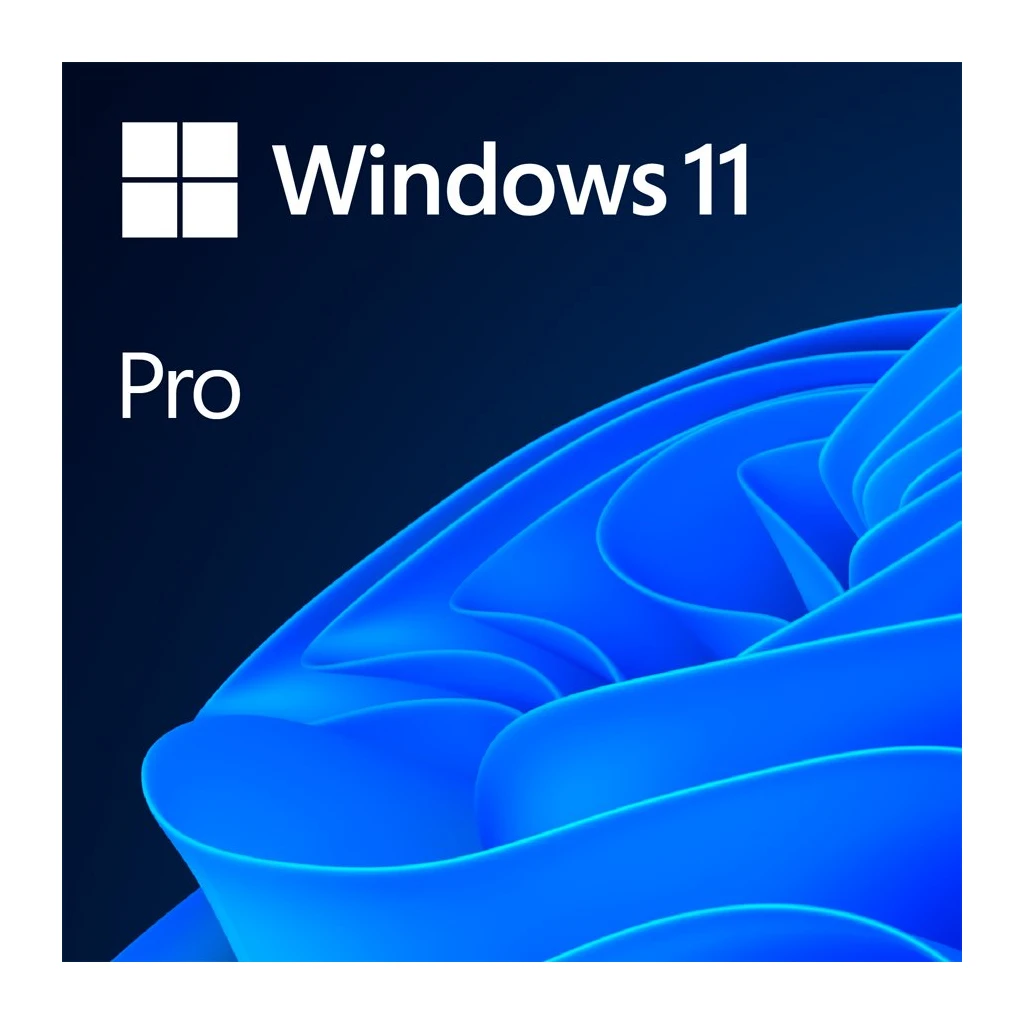 Windows 11 Professional 64Bit English Intl 1pk DSP OEI DVD - image 1