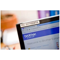 Traka za označavanje BROTHER TZe-231 - thumbnail 4
