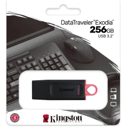 Kingston FD 256GB USB3.2 DTXDataTraveler Exodia - thumbnail 2