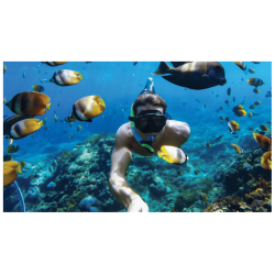 GoPro Protective Housingand Waterproof Case - HERO 9,10,11, 12, 13 - thumbnail 3