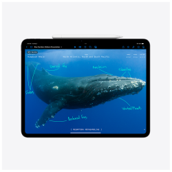 Apple 13-inčni iPad Pro (M4) WiFi 512GB Crni - Brzina i Snaga - thumbnail 4