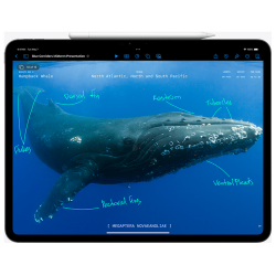 Apple iPad Pro 13" M4 WiFi 256GB Srebrni - Vrhunske performanse i nevjerovatno iskustvo - thumbnail 4