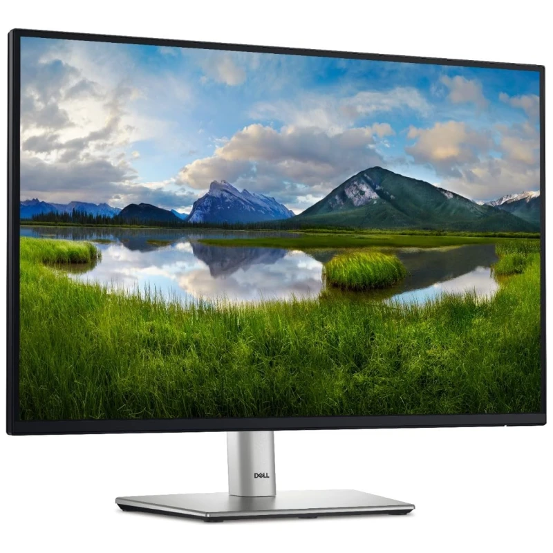 Dell Monitor P2425E 16:10 USB-C 24" FHD, 100Hz, IPS, RJ45, Docking, Full Ergo, USB PRO - image 1